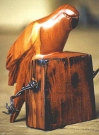 Parrot -Red Cedar