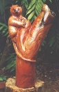 Possum - Red Cedar