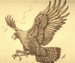 Golden Eagle
